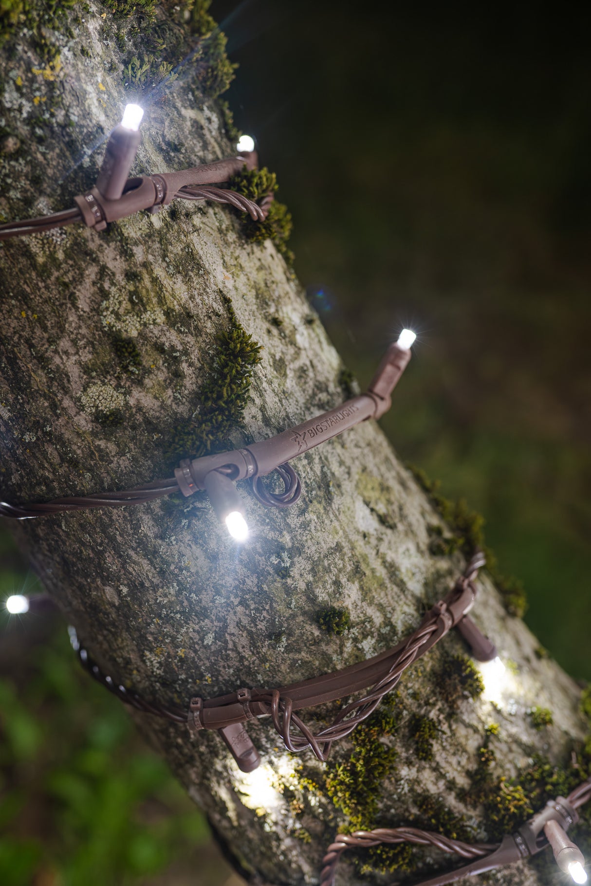Twinkle Stretch String Mini Lights - Brown Wire (25 ft)