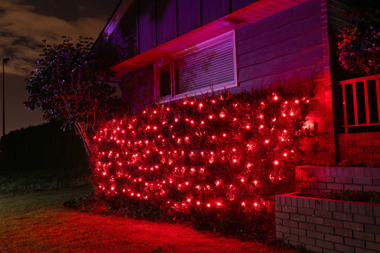 Steady Mini Lights - Coaxial Plug