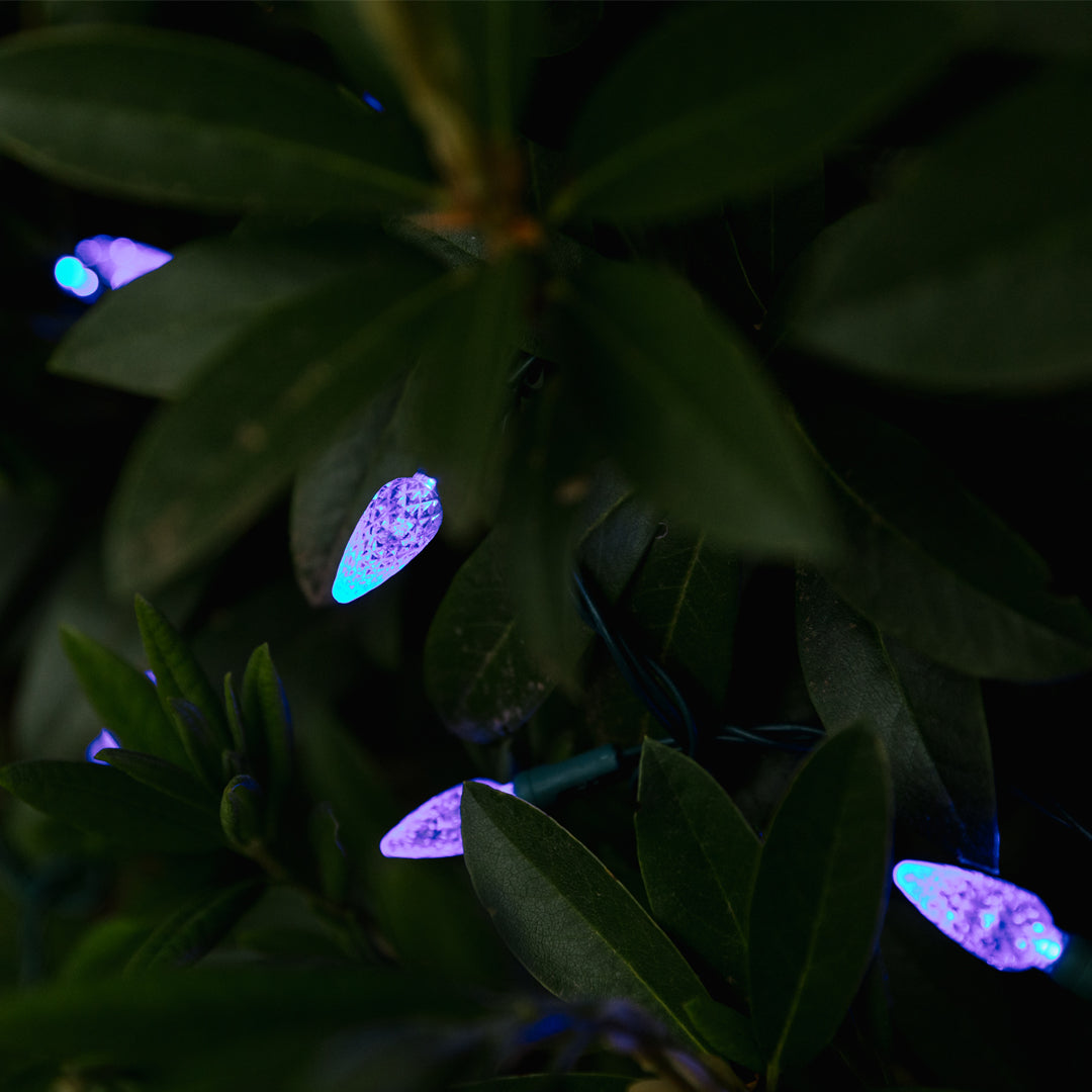 C6 String Lights - Green Wire (25ft)