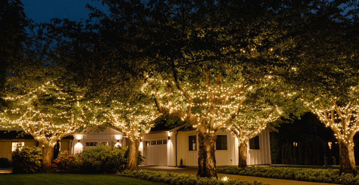 Warm white mini lights canopy wrap