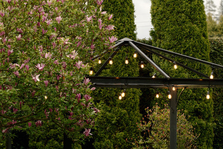 Edison-style bulbs in a black metal frame