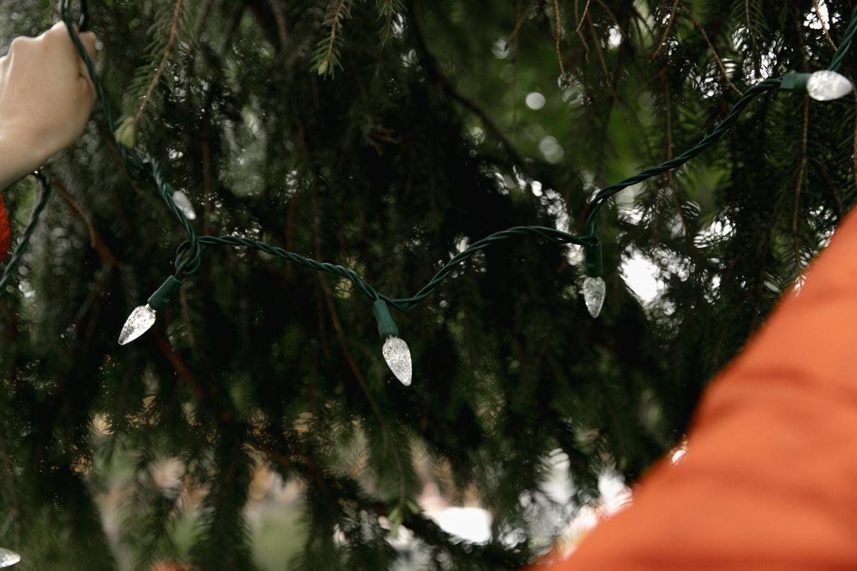 C6 String Lights - Green Wire (25ft)