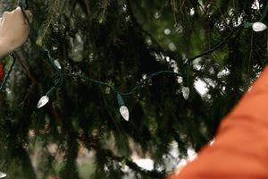 C6 String Lights - Green Wire (25ft)