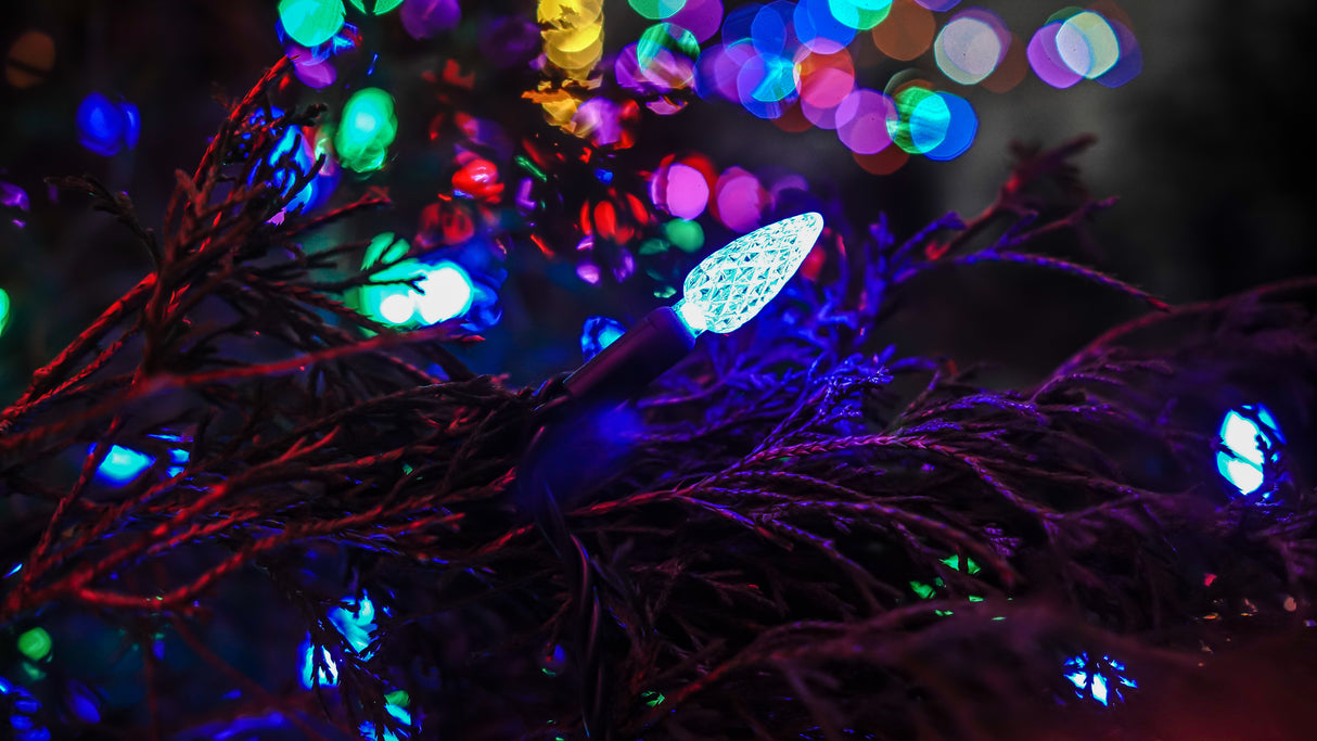 C6 String Lights - Green Wire (25ft)