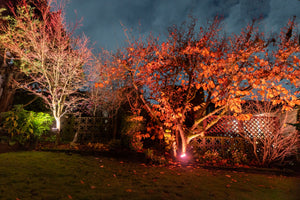 Chromaglow Pro RGBW Floodlight