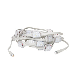Chromaglow Pro RGBW Light String