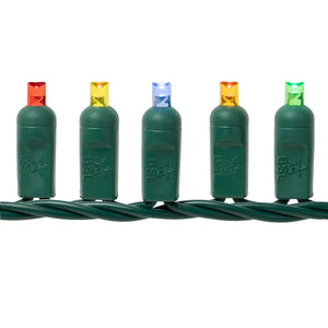 Pro Starter Bundle (C9 Bulbs + Standard Plug Mini Lights)