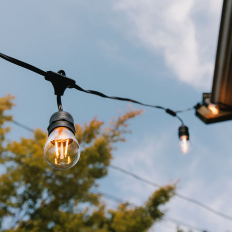 100ft Festive Backyard Bundle - S14 Bulbs