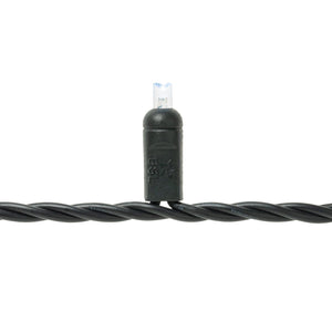 Twinkle Curtain Lights - Black Wire - 20 LED (7 ft)