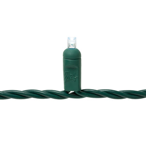 Steady Mini Lights - Green Wire - Standard Plug (25 ft)