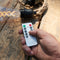 Pendant Light Battery Bank & Remote Default Title
