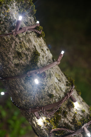 Twinkle Stretch String Mini Lights - Brown Wire (25 ft)