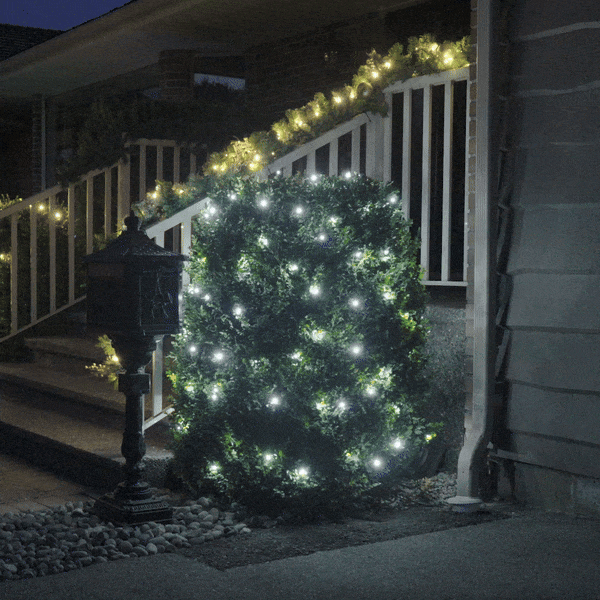 Twinkle Mini Lights - Coaxial Plug