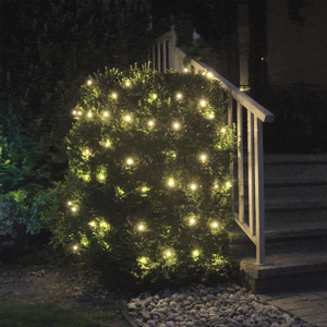 Twinkle Mini Lights - Coaxial Plug