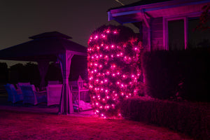 C6 String Lights - Green Wire (25ft)