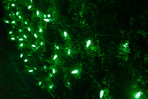 C6 String Lights - Green Wire (25ft)