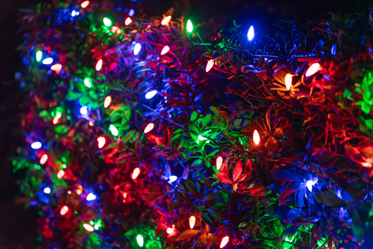 Themed C6 String Lights - Multi Color (25ft)