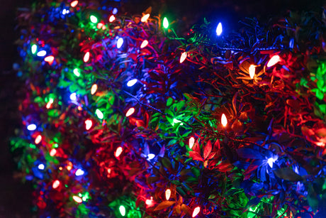 Themed C6 String Lights - Multi Color (25ft)
