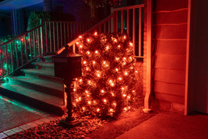 C6 String Lights - Green Wire (25ft)