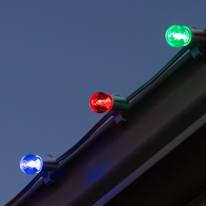 100ft Backyard Bundle - G30 Bulbs