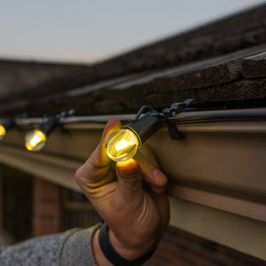 100ft Backyard Bundle - G30 Bulbs