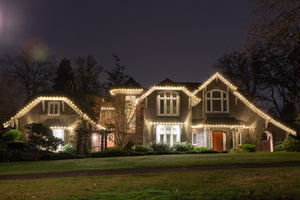 100ft Roofline Bundle - G30 Bulbs