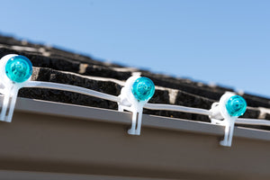TuffClips (Pack of 100)