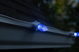 C7 Bulbs (Pack of 25)