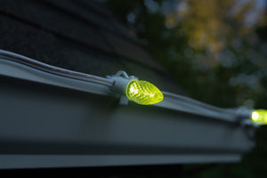 C7 Bulbs (Pack of 25)