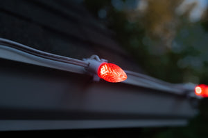 C7 Bulbs (Pack of 25)