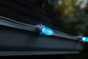 C7 Bulbs (Pack of 25)