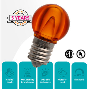 100ft Roofline Bundle - G30 Bulbs