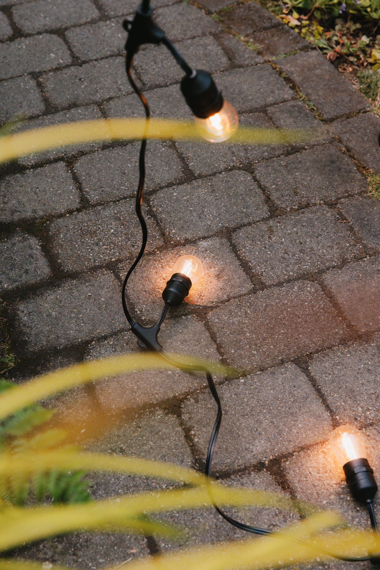 S14 Bulbs - Warm White (Pack of 25)