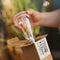 ST64 Spiral Filament Bulbs - 120V Default Title