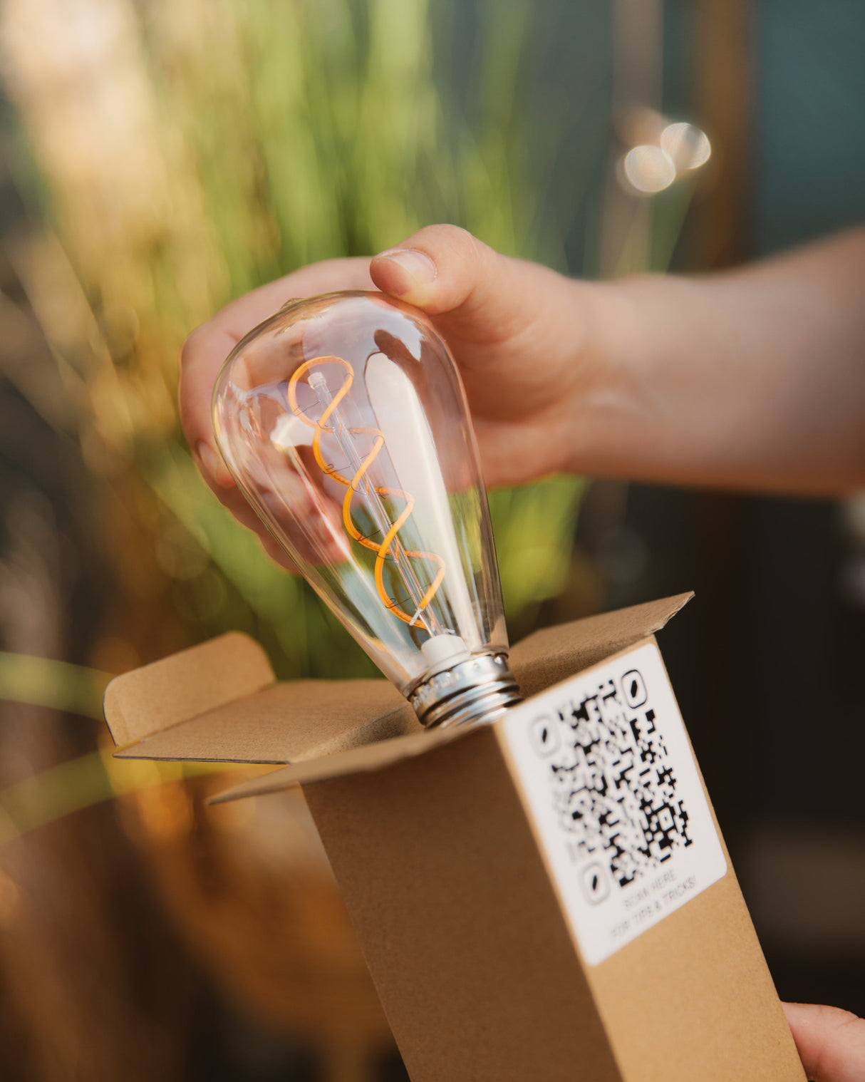 ST64 Spiral Filament Bulbs - 120V