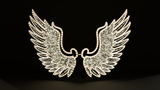 Angel Wing Photo Station