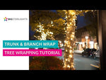 Steady Stretch String Mini Lights - Brown Wire (25 ft)