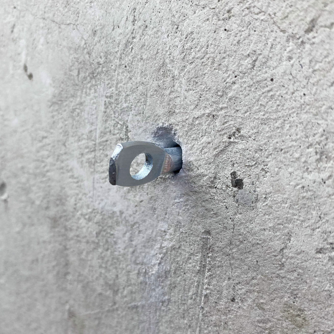 Concrete Anchor Eye Bolts (Pack of 50)