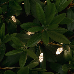 C6 String Lights - Green Wire (25ft)