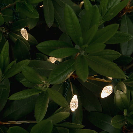 C6 String Lights - Green Wire (25ft)
